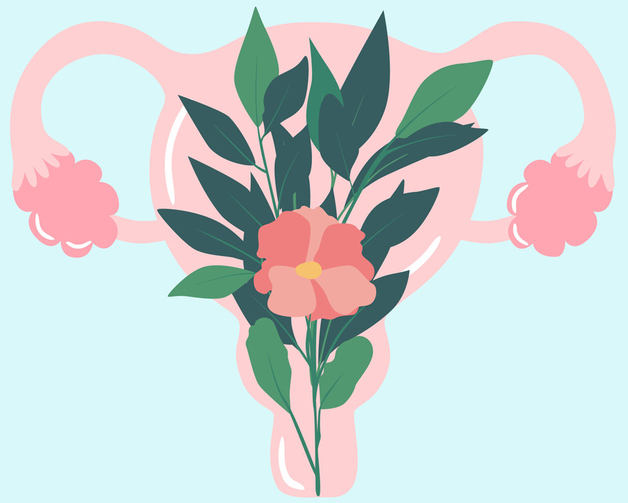Illustration-of-female-reproductive-system-with-flowers