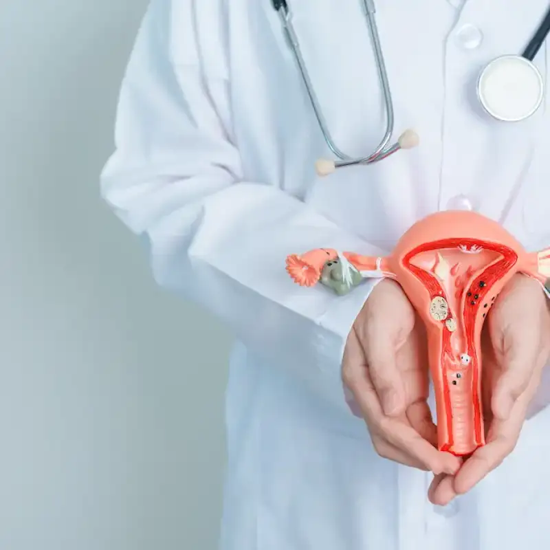 doctor-holding-uterus-and-ovaries-model-ovarian-a-2023-11-27-05-33-27-utc